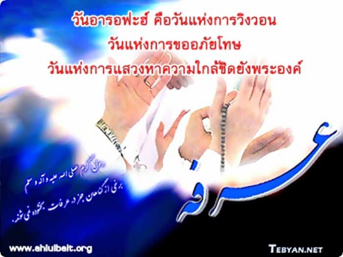 arafah01