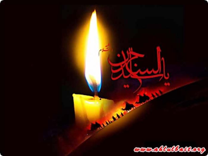shaimam4-5304