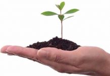 การเอื้อเฟื้อเผื่อแผ่ผู้อ่อนแอกว่า